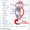 Class 10 Science Physics Chemistry Maths Notes