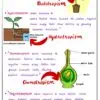 Class 10 Science Physics Chemistry Maths Notes