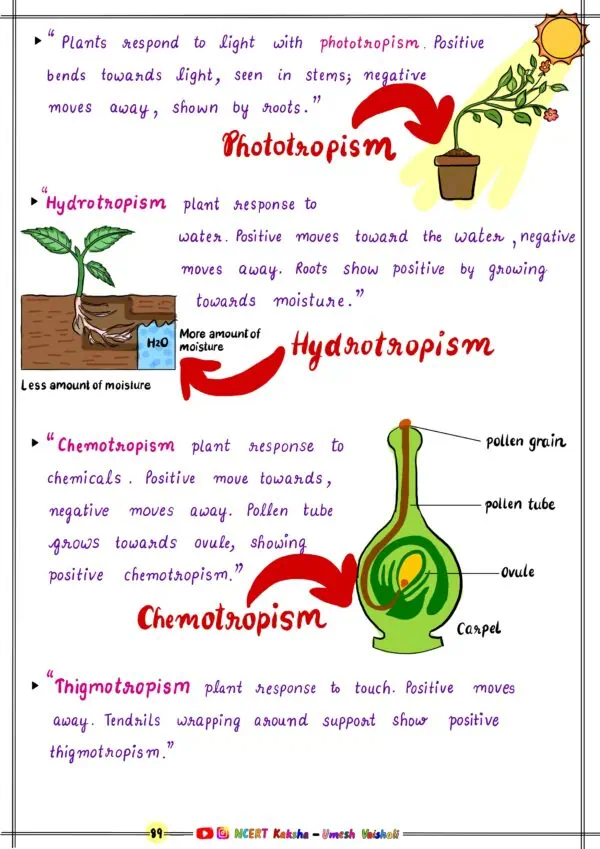 Class 10 Science Physics Chemistry Maths Notes