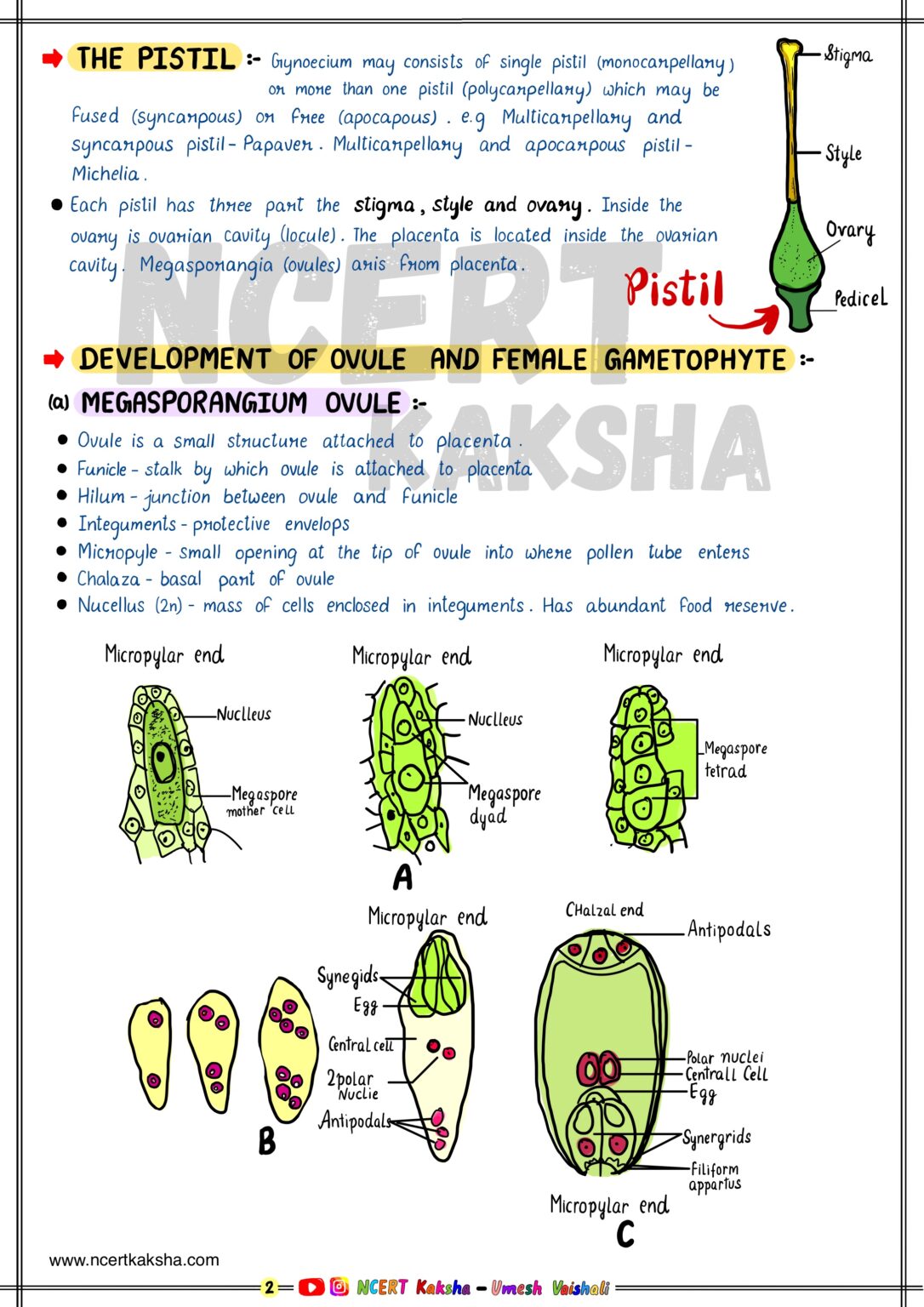 Class 12 Biology Short Notes (The Best) 2024-2025 – NCERT Kaksha