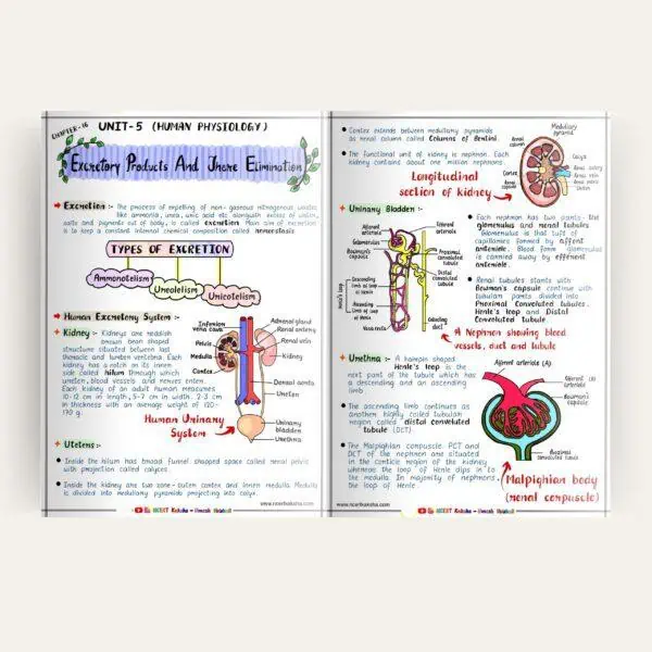 Printed Neet Biology Notes / Short Notes 2025